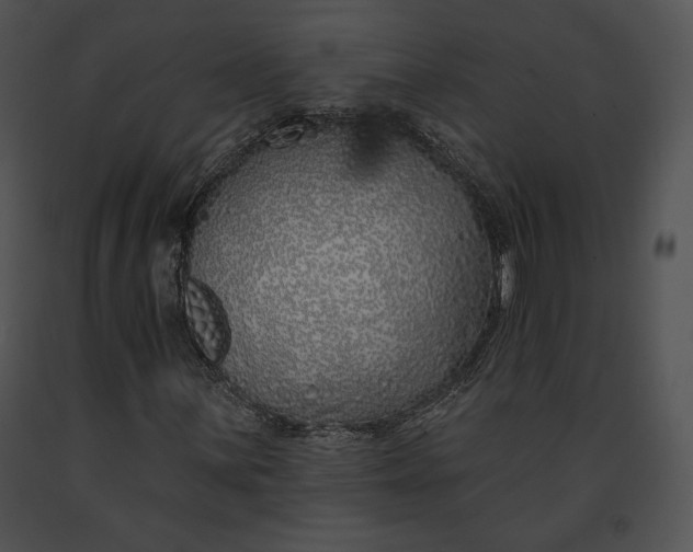 X0000091171059200708301151