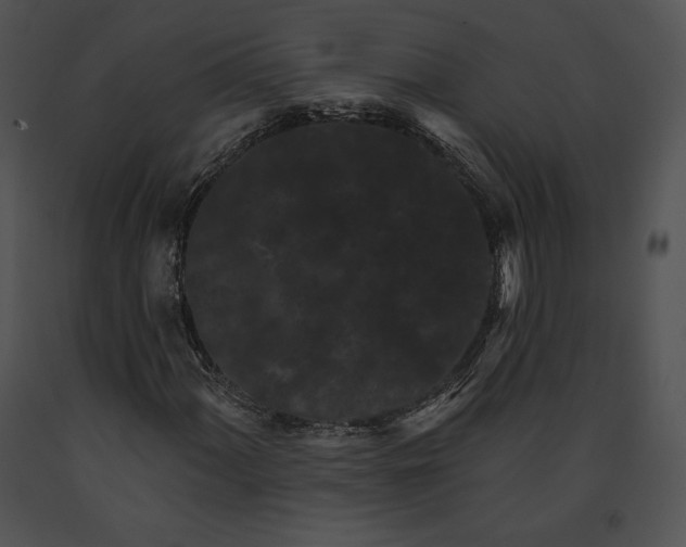 X0000091171060200708301151