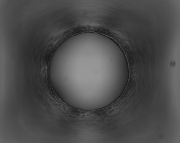 X0000091171061200708301151