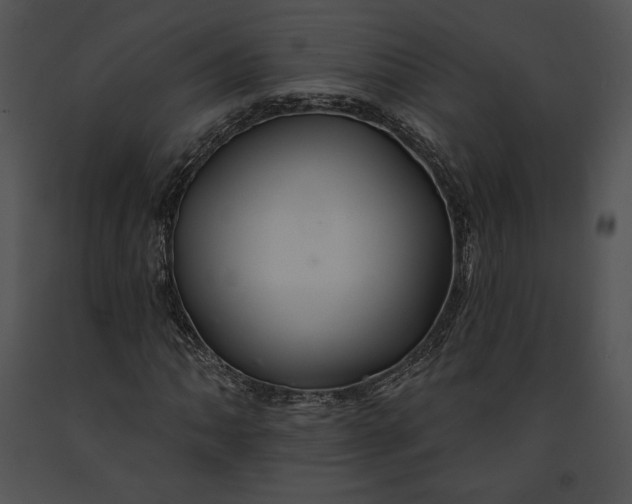 X0000091171062200708301151