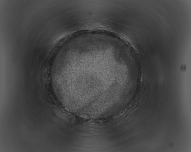 X0000091171063200708301151