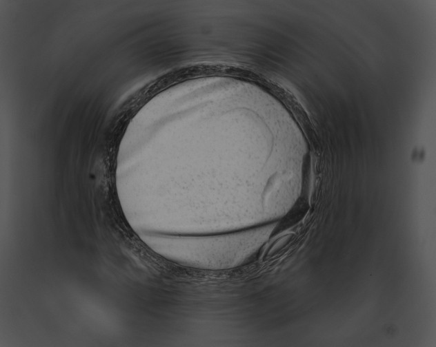 X0000091171064200708301151