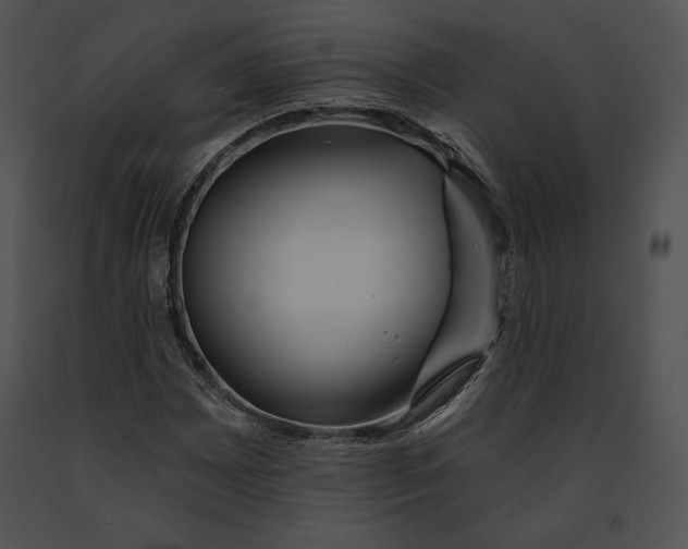 X0000091171065200708301151