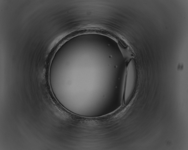 X0000091171066200708301151