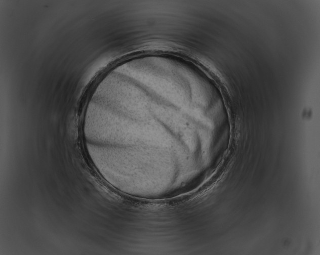 X0000091171067200708301151