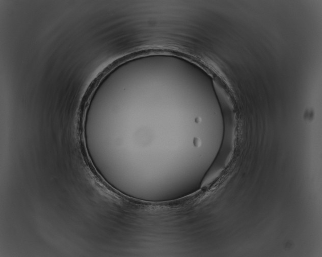 X0000091171068200708301151