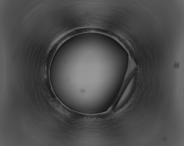 X0000091171069200708301150