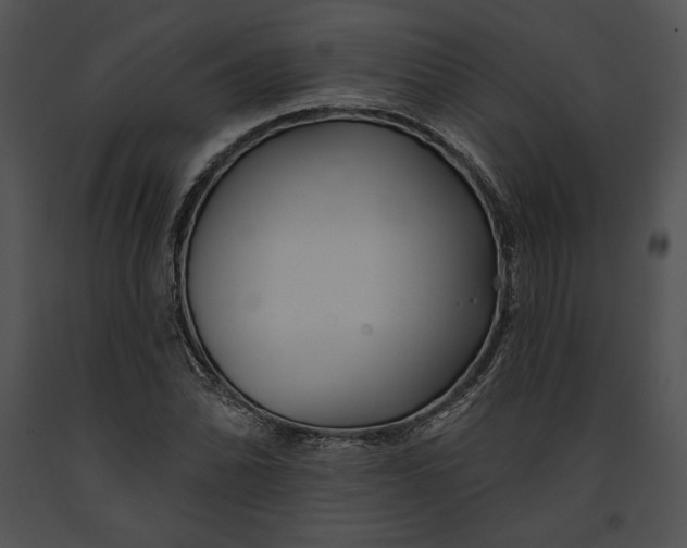 X0000091171070200708301150