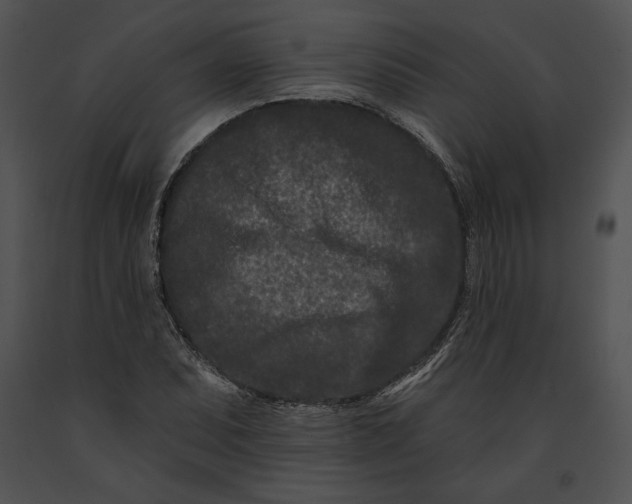 X0000091171071200708301150