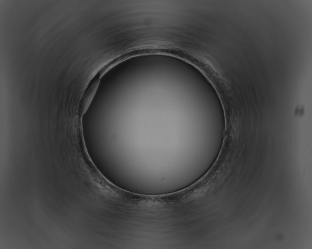 X0000091171073200708301150