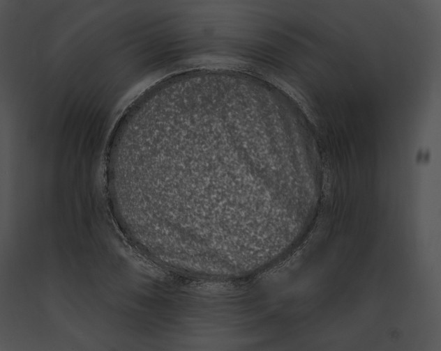 X0000091171074200708301150