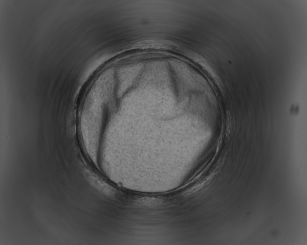 X0000091171075200708301150