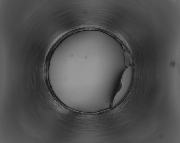 X0000091171076200708301150