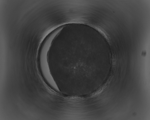 X0000091171077200708301150