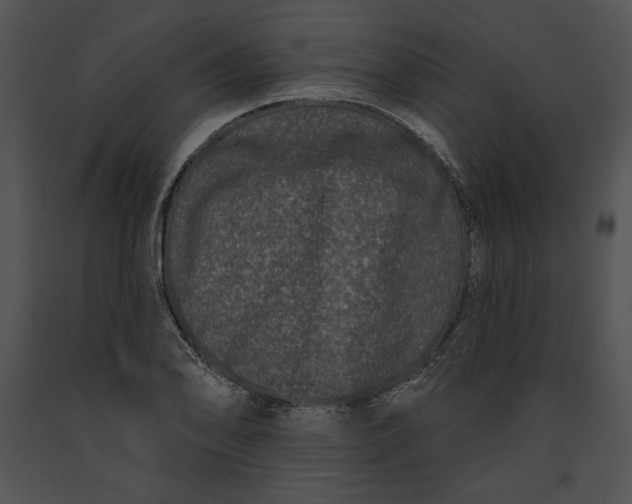 X0000091171078200708301150