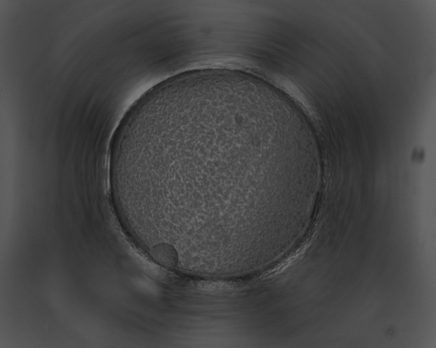 X0000091171079200708301150