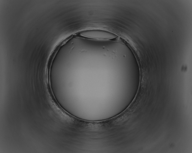 X0000091171080200708301150