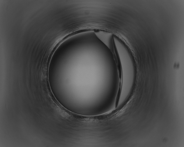 X0000091171081200708301150