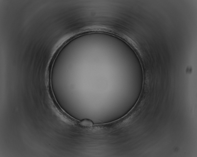 X0000091171082200708301150