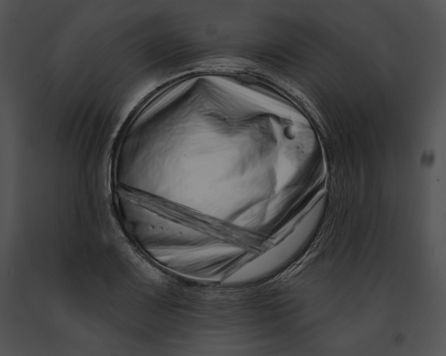 X0000091171083200708301150