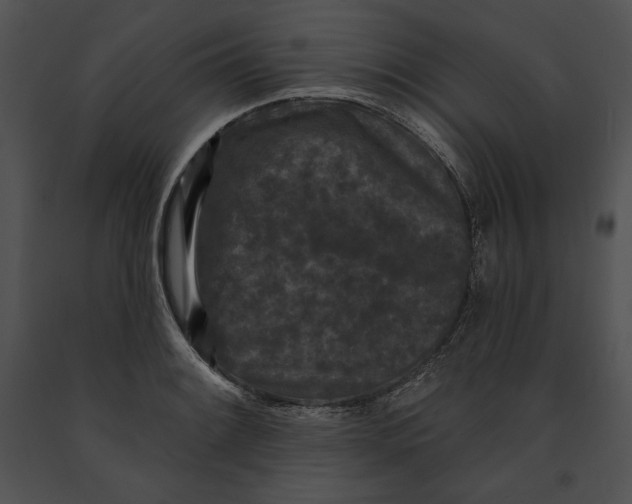 X0000091171084200708301150