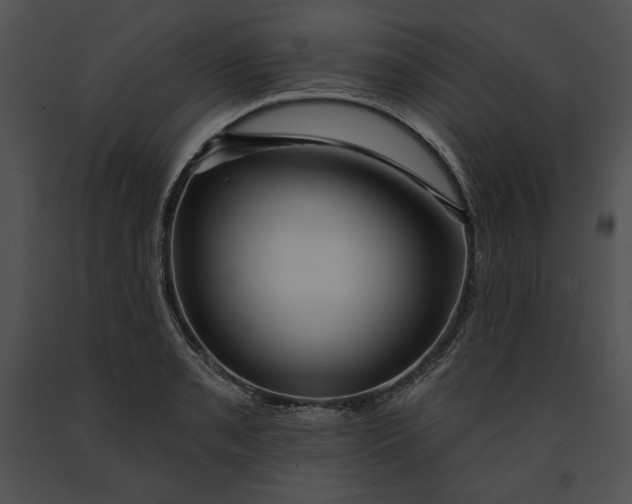 X0000091171085200708301150