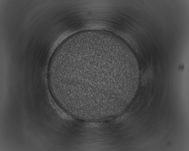 X0000091171086200708301150