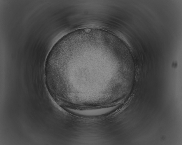 X0000091171087200708301150