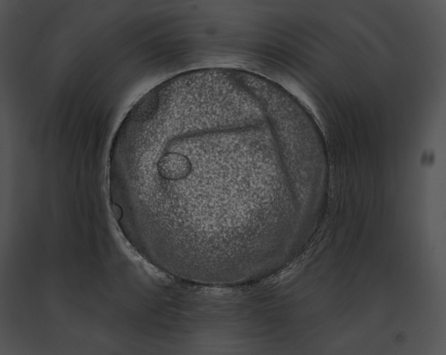 X0000091171088200708301150