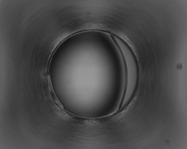 X0000091171089200708301150