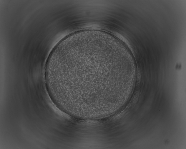 X0000091171090200708301150