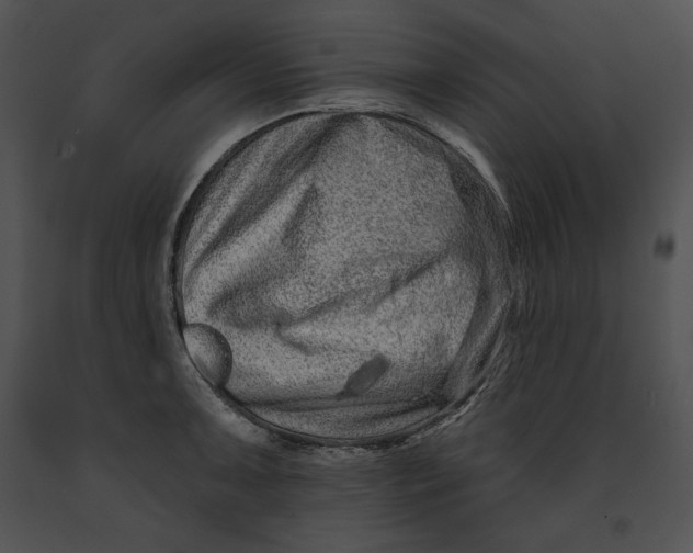 X0000091171091200708301150