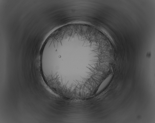 X0000091171092200708301150