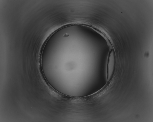 X0000091171093200708301150