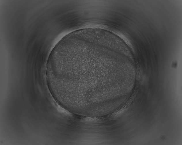 X0000091171094200708301150