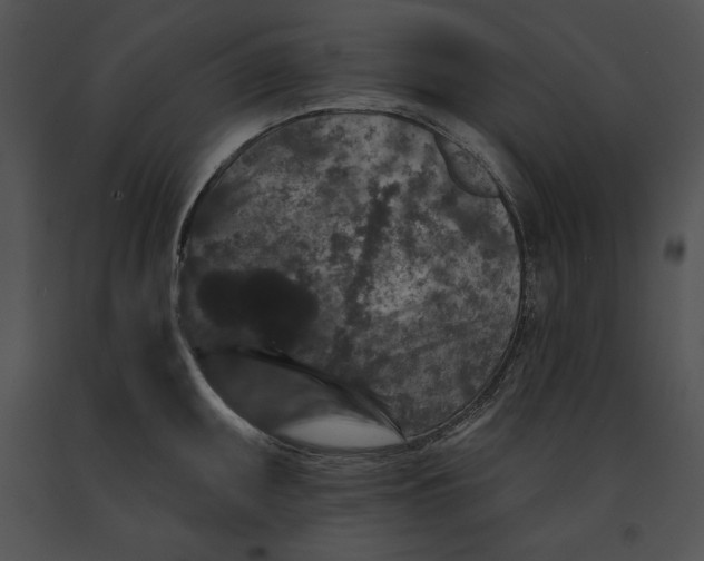 X0000091171095200708301150