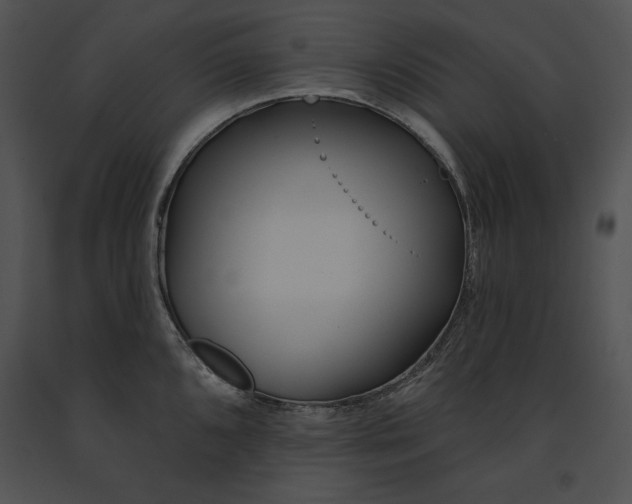 X0000091171096200708301150