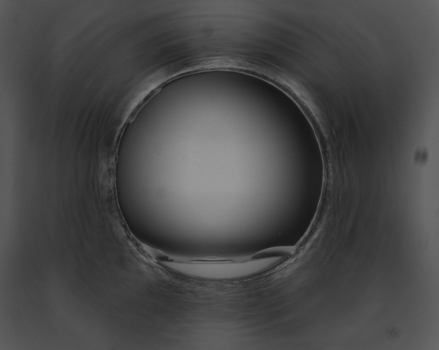 X0000091171097200708301150