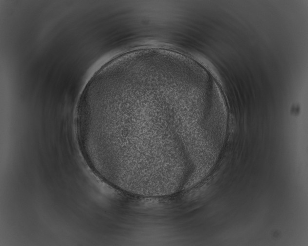 X0000091171098200708301150