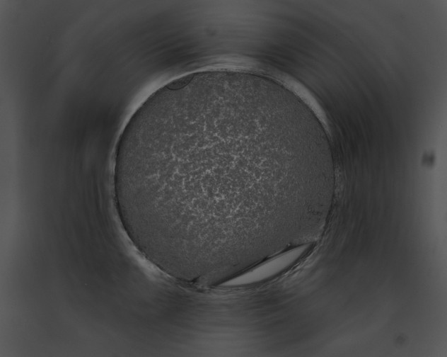 X0000091171099200708301150