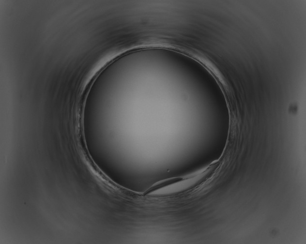 X0000091171101200708301150