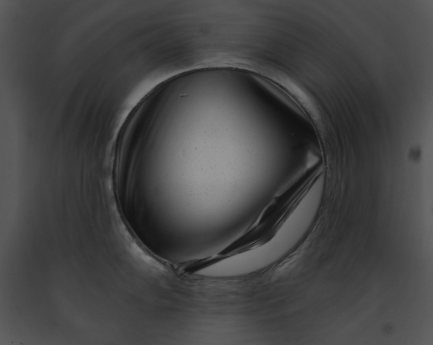 X0000091171102200708301150