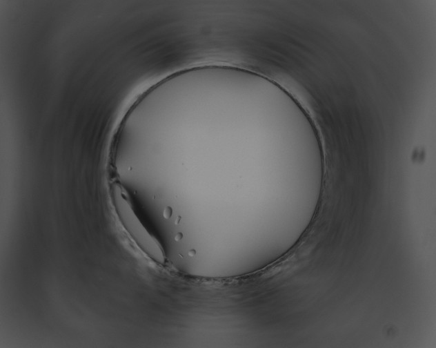 X0000091171104200708301150