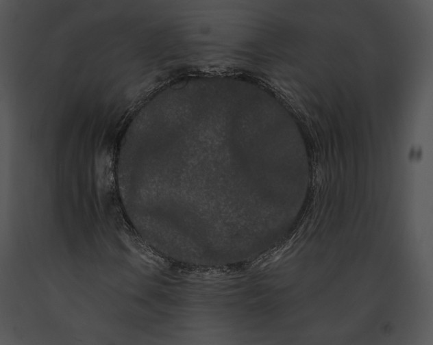 X0000091171106200708301149