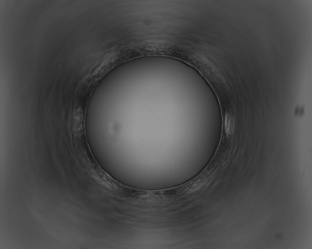 X0000091171107200708301149