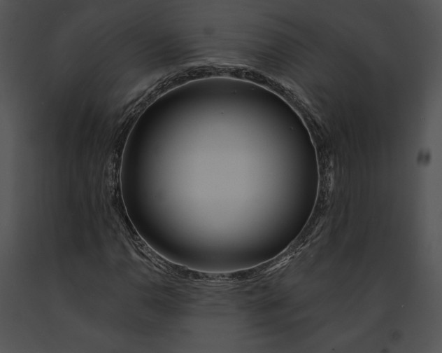 X0000091171110200708301149