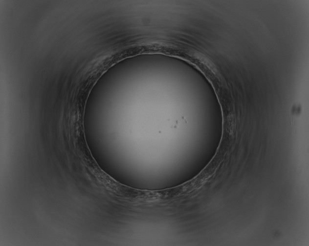 X0000091171111200708301149