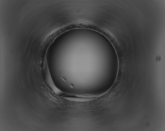 X0000091171112200708301149