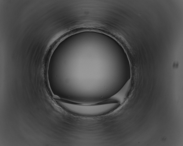 X0000091171114200708301149