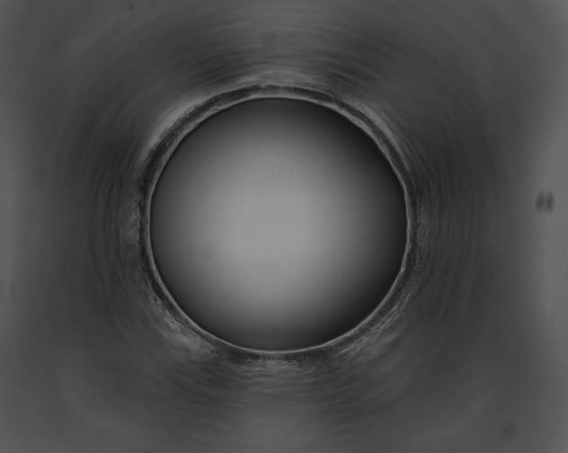 X0000091171115200708301149